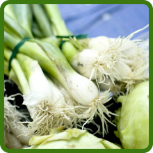 Mild & Sweet Flavor of Sweet Onion