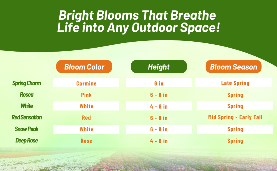 Bloom Season, Height, & Color Chart of Arabis Wall Rock Cress
