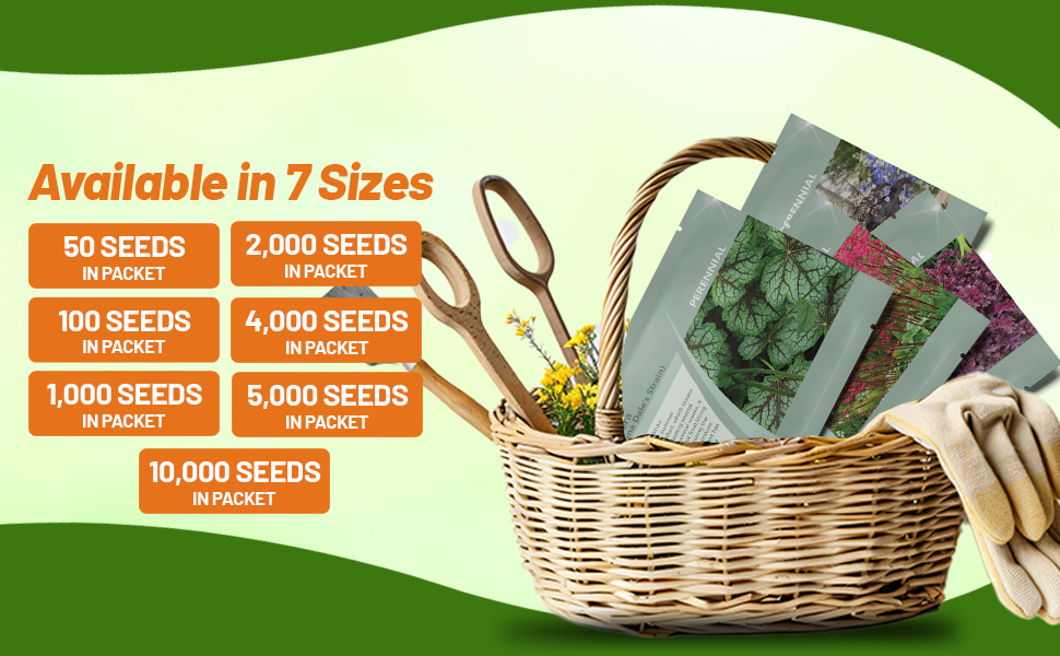 Heuchera Coral Bells Seed Packets For Sale