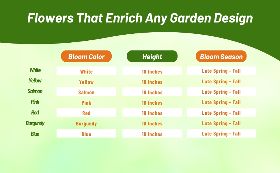 Bloom Season, Color, & Height Chart of Petunia Grandiflora Flowers