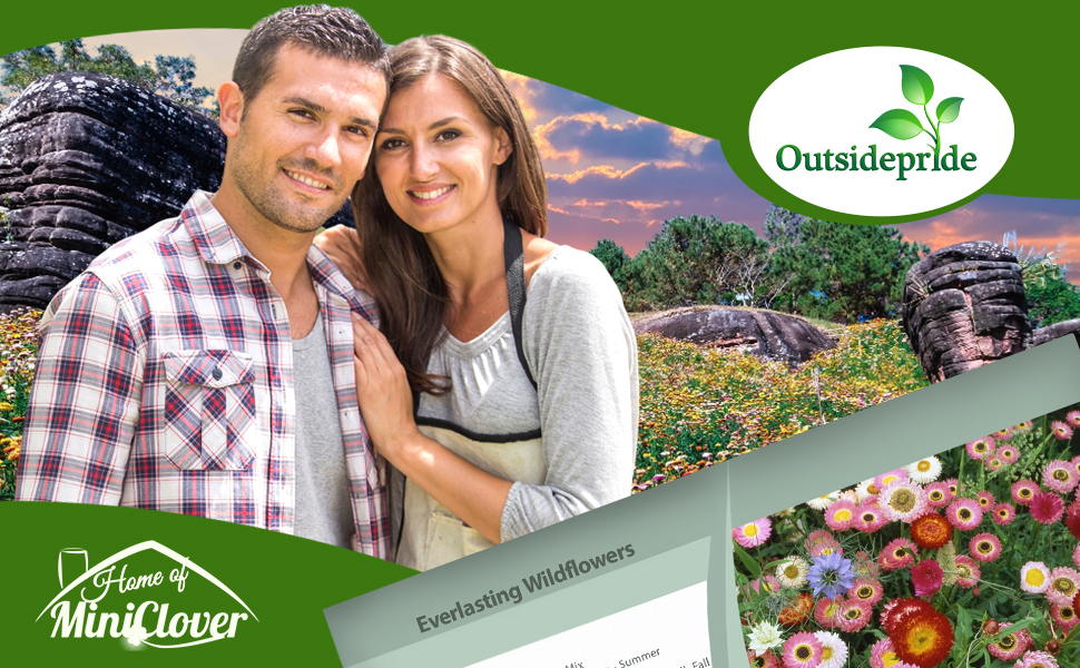 Everlasting Wildflowers