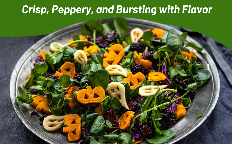 Watercress Has Crisp, Peppery Flavor For Use in Culinary Applications
