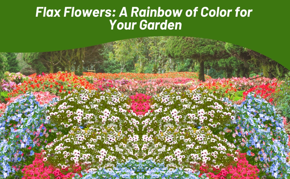 Many Varieties of Flax Planted From Flower Seeds