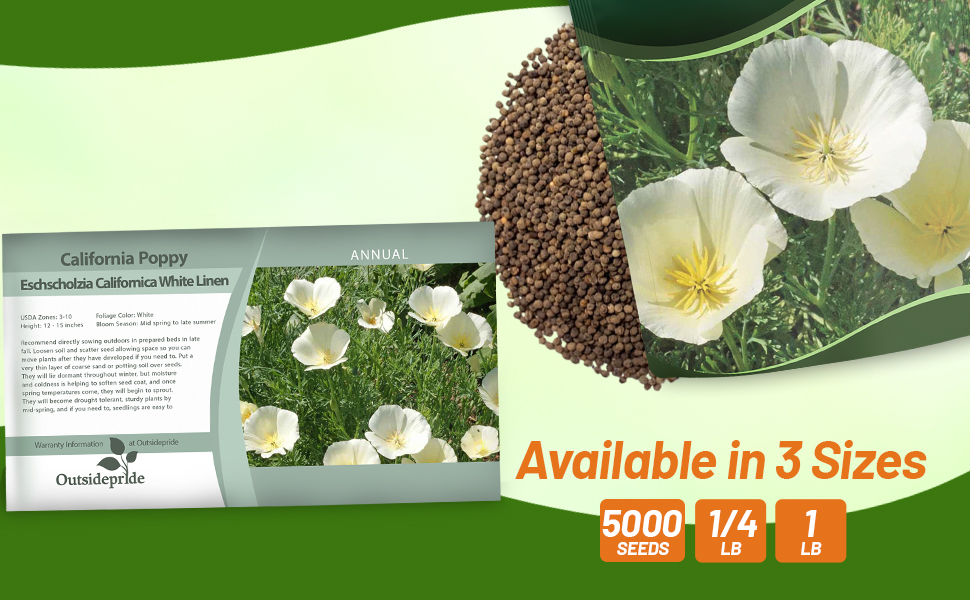 Eschscholzia Californica White Linen Poppies