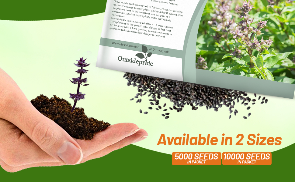Ocicum Basil Thai Seed Packets For Sale & Planting