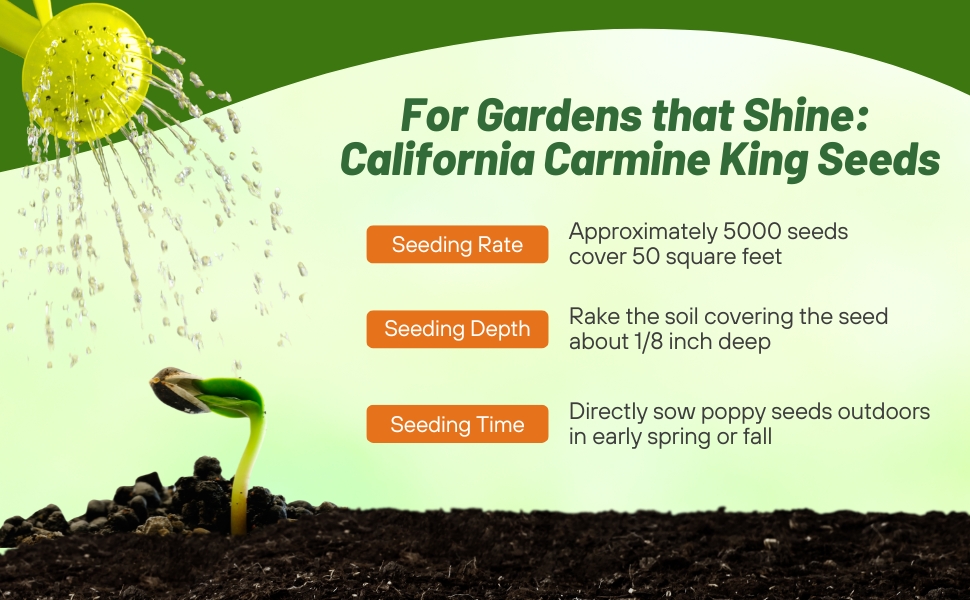 Seeding Rate & Planting Time For Carmine King California Poppy Flower Seeds