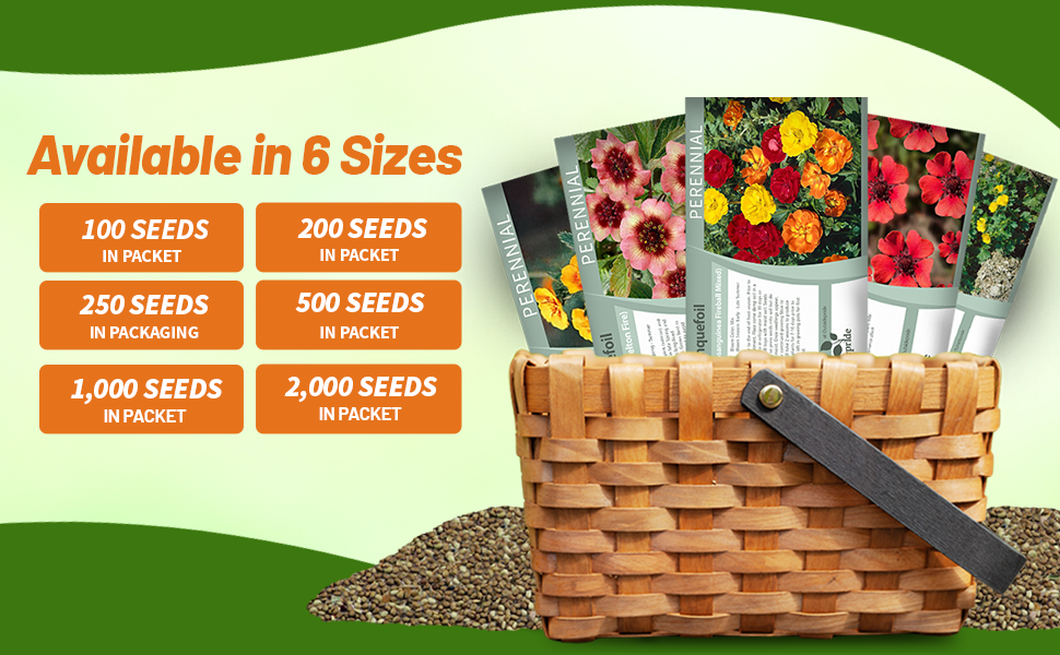 Cinquefoil Seed Packets For Sale