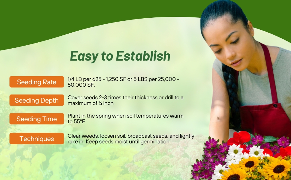 Planting Directions For Southwest Wildflower Seed Mixture