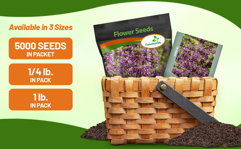Monarda Lemon Bee Balm Flower Seed Packets For Planting