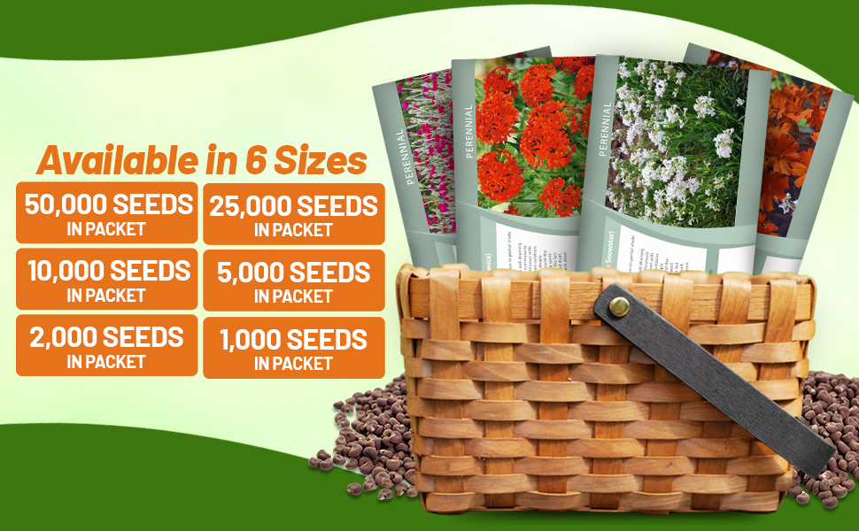 Lychnis Flower Seed Packets For Sale