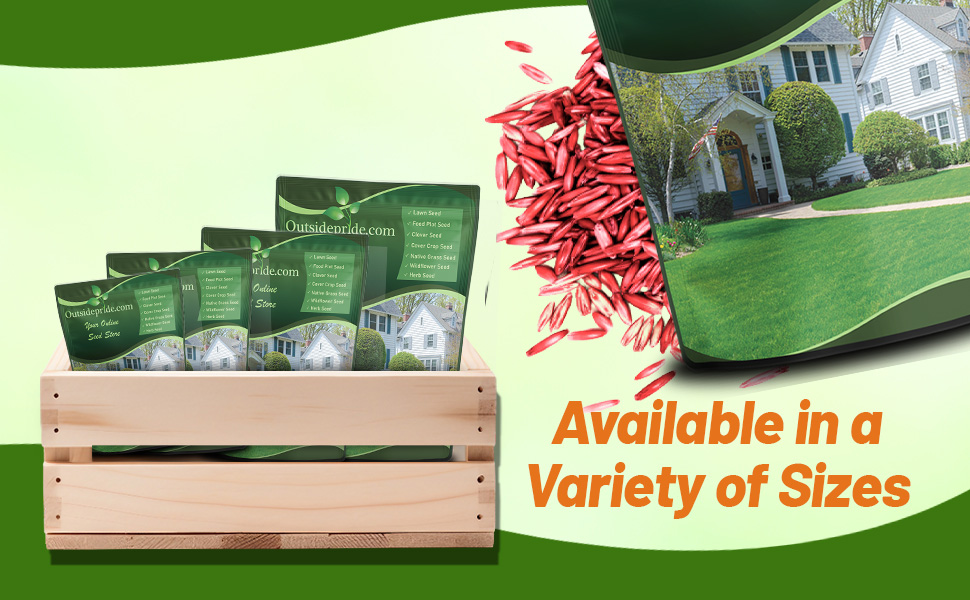 Fireball & Hatrick Perennial Rye Grass Seed Blend For Lawns, Sports Fields, Parks