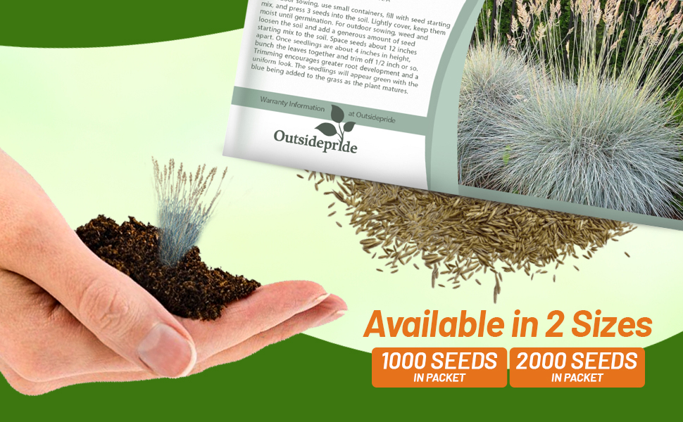 Blue Fescue Ornamental Grass Seed Packet
