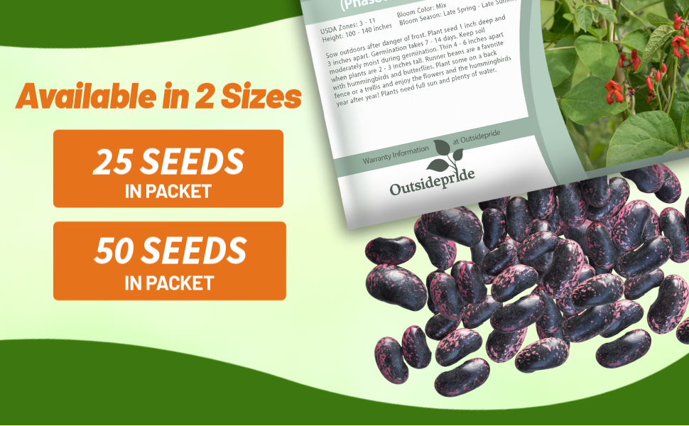 Scarlet Runner Bean Seed Packets For Planting