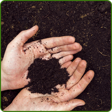 Soil For Low Growing Wildflowers