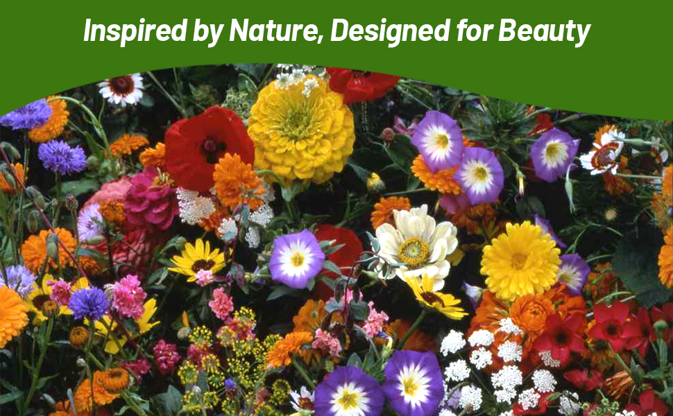 Beautiful Mixture of Wildflowers Planted From Seeds