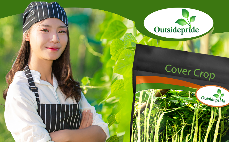 Cowpeas Field