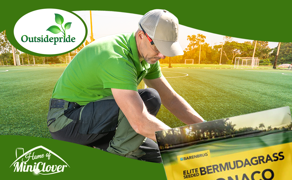 Monaco Bermuda Lawn Grass Seed