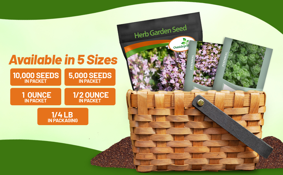 Oregano Seed Packets For Sale