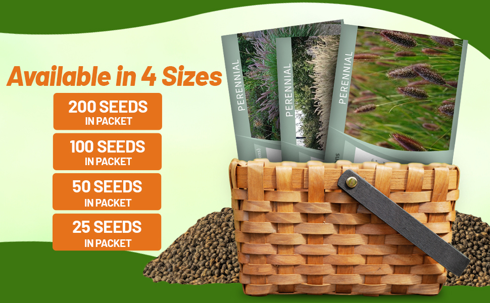 Pennisetum Fountain Grass Seed Packets For Planting