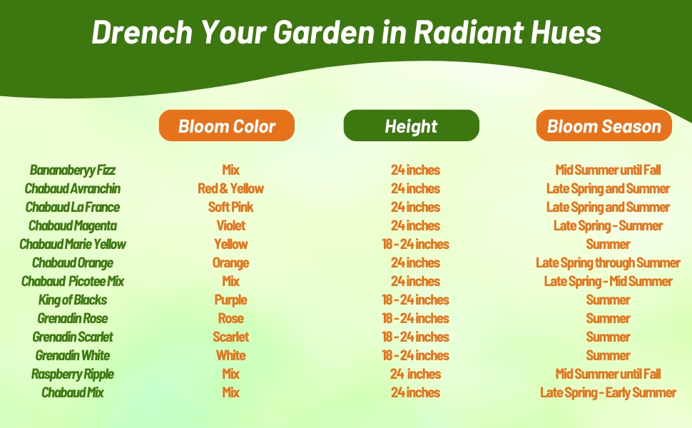 Bloom Color, Height, &Season Chart of Dianthus Carnation Flowers