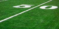 Low Mowed Turf Fertilizer