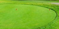 Putting Greens Fertilizer