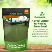 True Putt Creeping Bluegrass