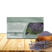 Lavender Hidcote Image