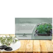 Marigold Licoboost Seeds thumbnail