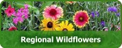 Regional WIldflower Mixtures