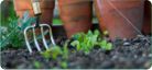 Gardening Supplies and Equipment