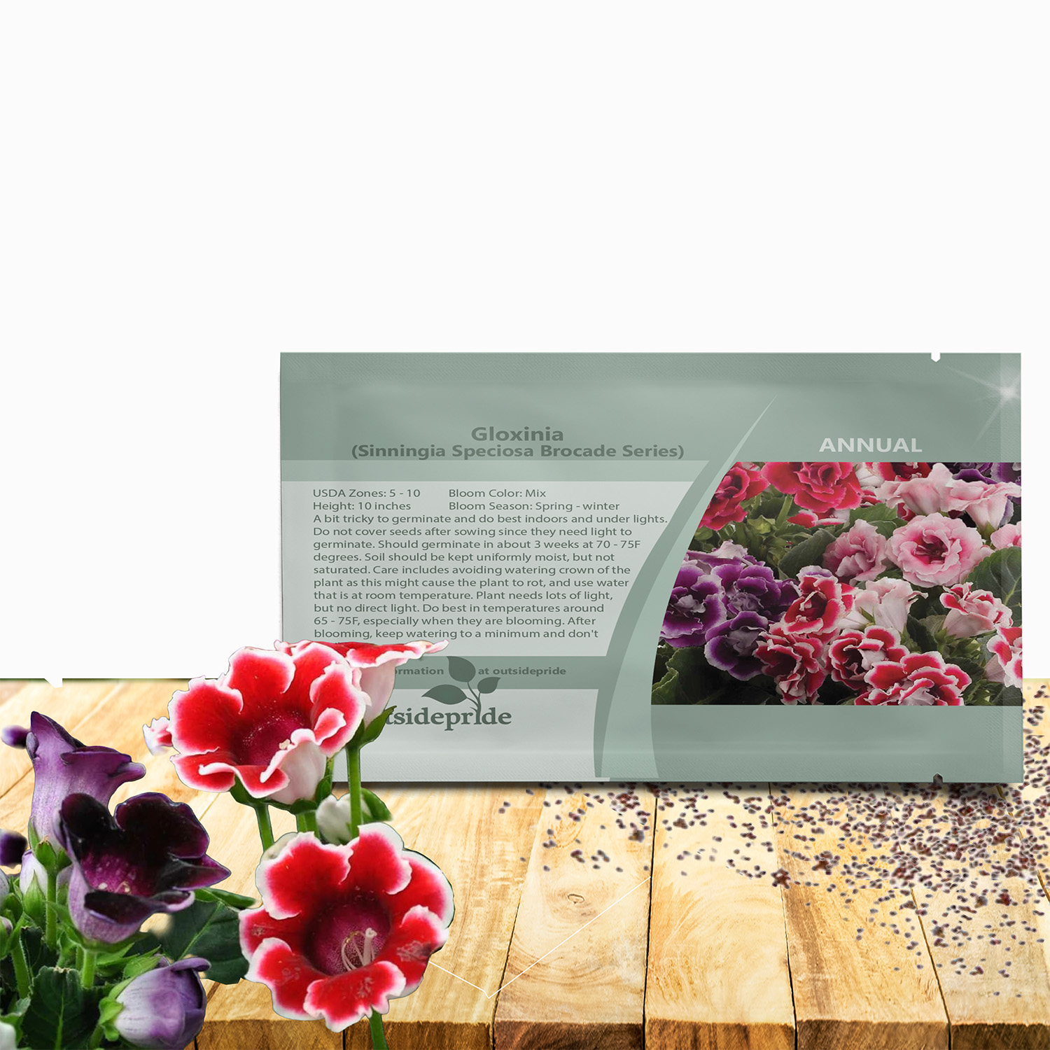 Gloxinia Seed Packet Mix