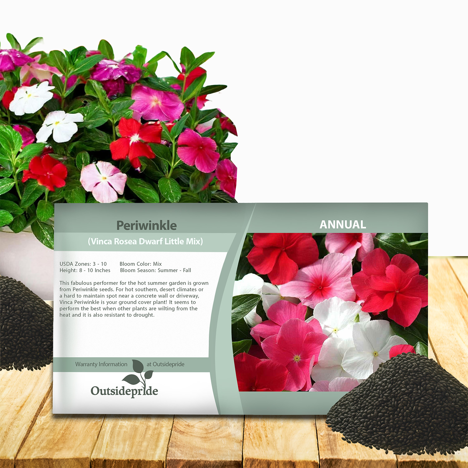 Periwinkle Groundcover Seed Packet