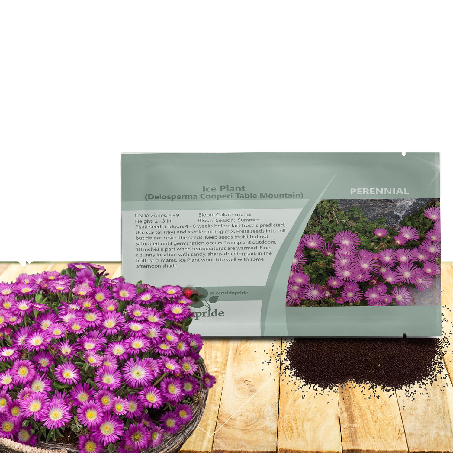 Ice Plant Table Mountain Groundcover Seeds