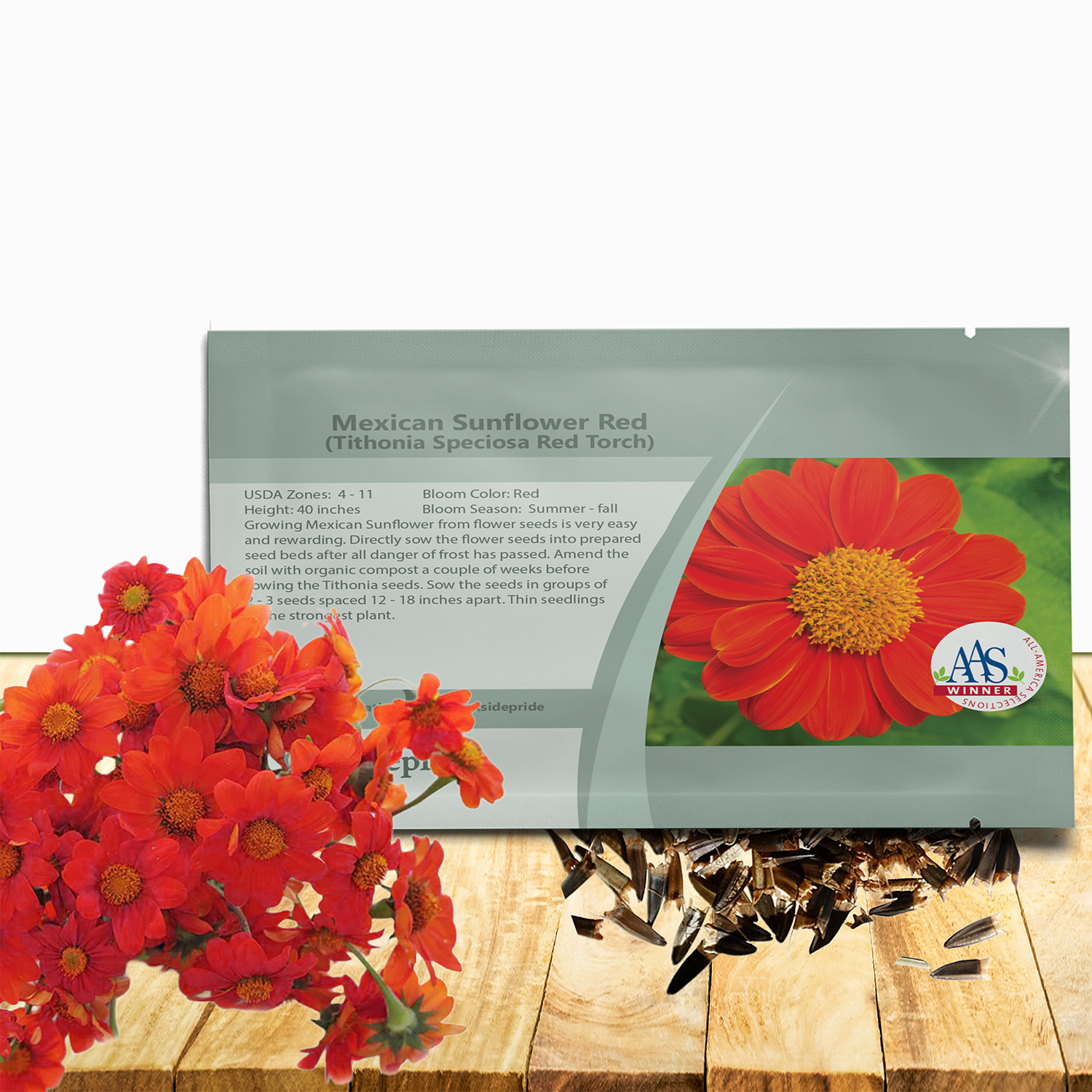 Mexican Sunflower Torch Seed Packet