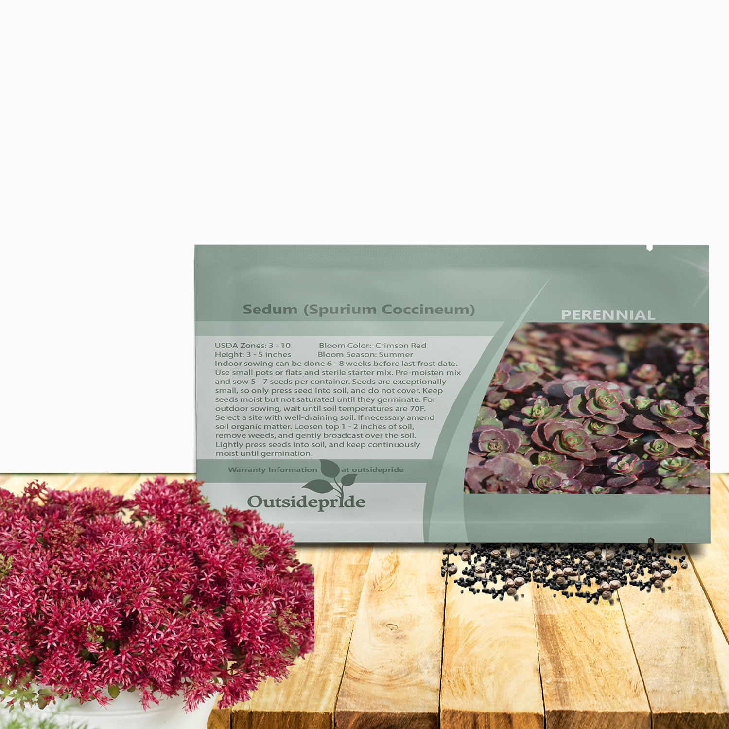 Stonecrop Dragon's Blood Seed Packet For Planting