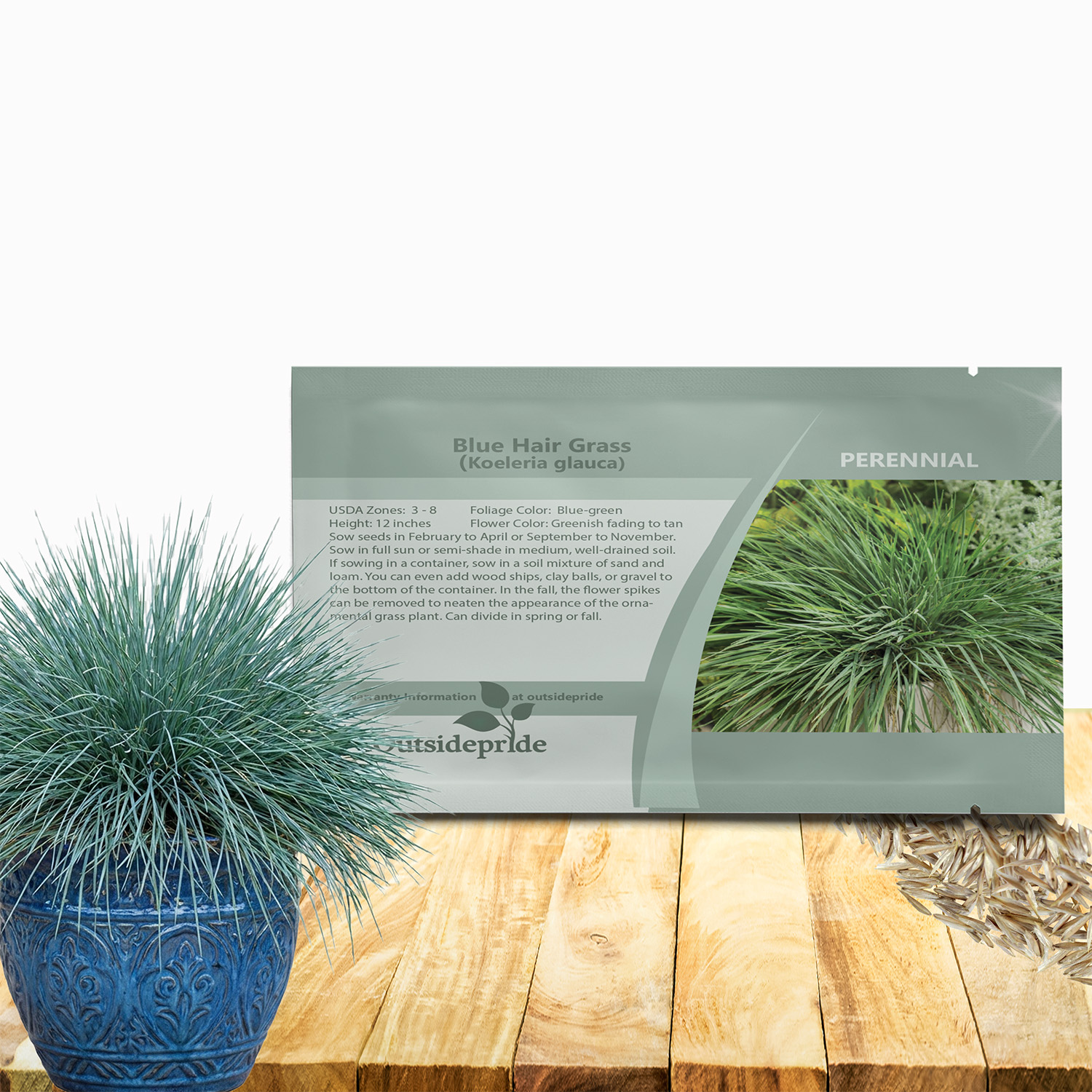 Blue Hair Grass Seed Packet