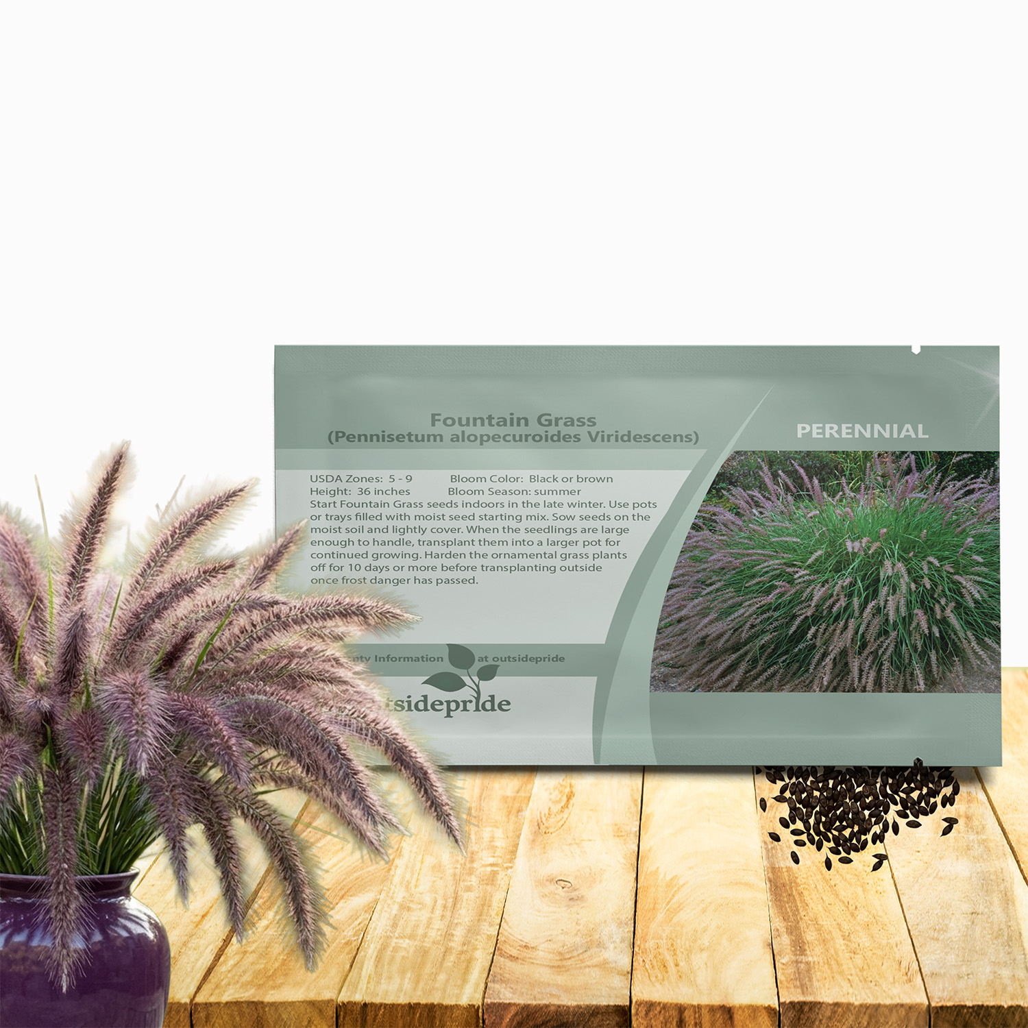 Black Flower Ornamental Grass Seed Packet