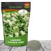 Ladino Seed Bag