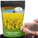 Trophy Rape Seed Bag