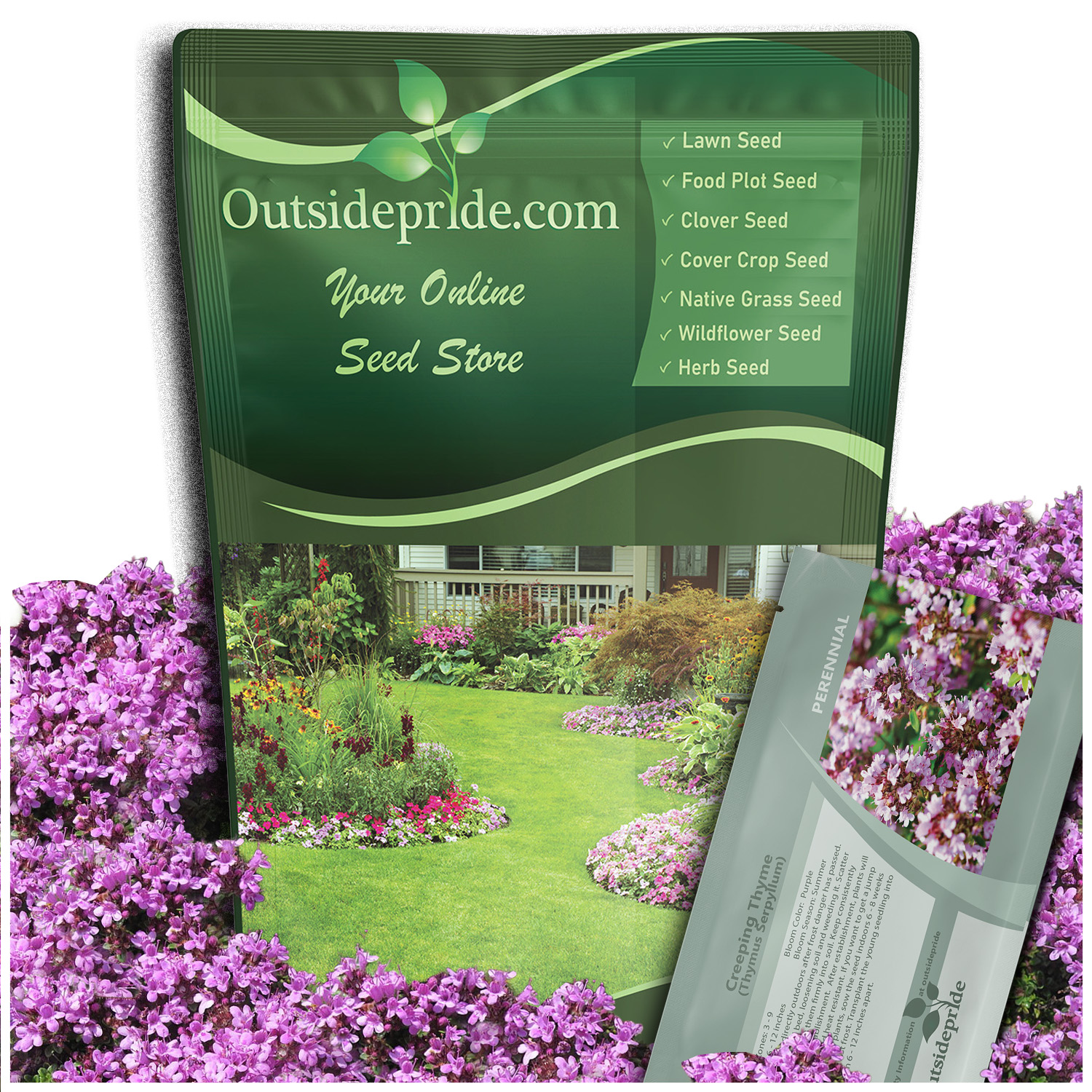 Creeping Thyme Seed Bag