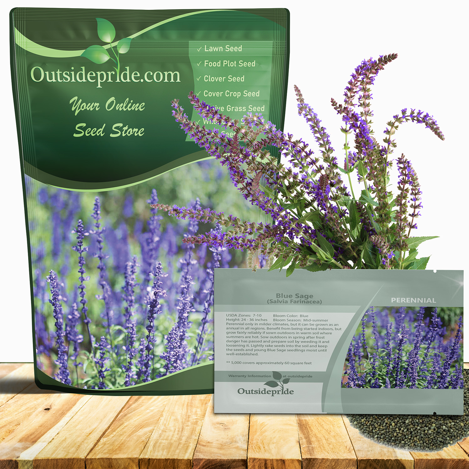 Blue Sage Salvia Seed Bag For Planting