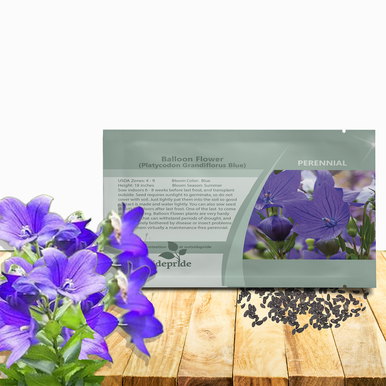 Balloon Flower Blue Seed Packet