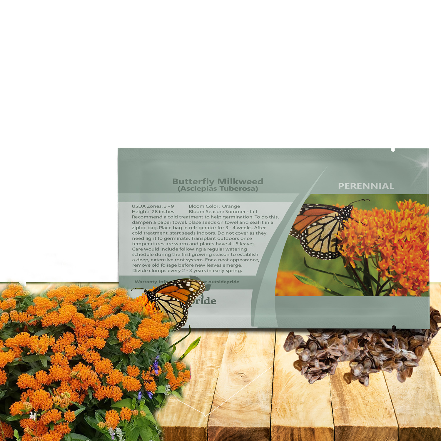 Butterfly Weed Orange Seed Packet