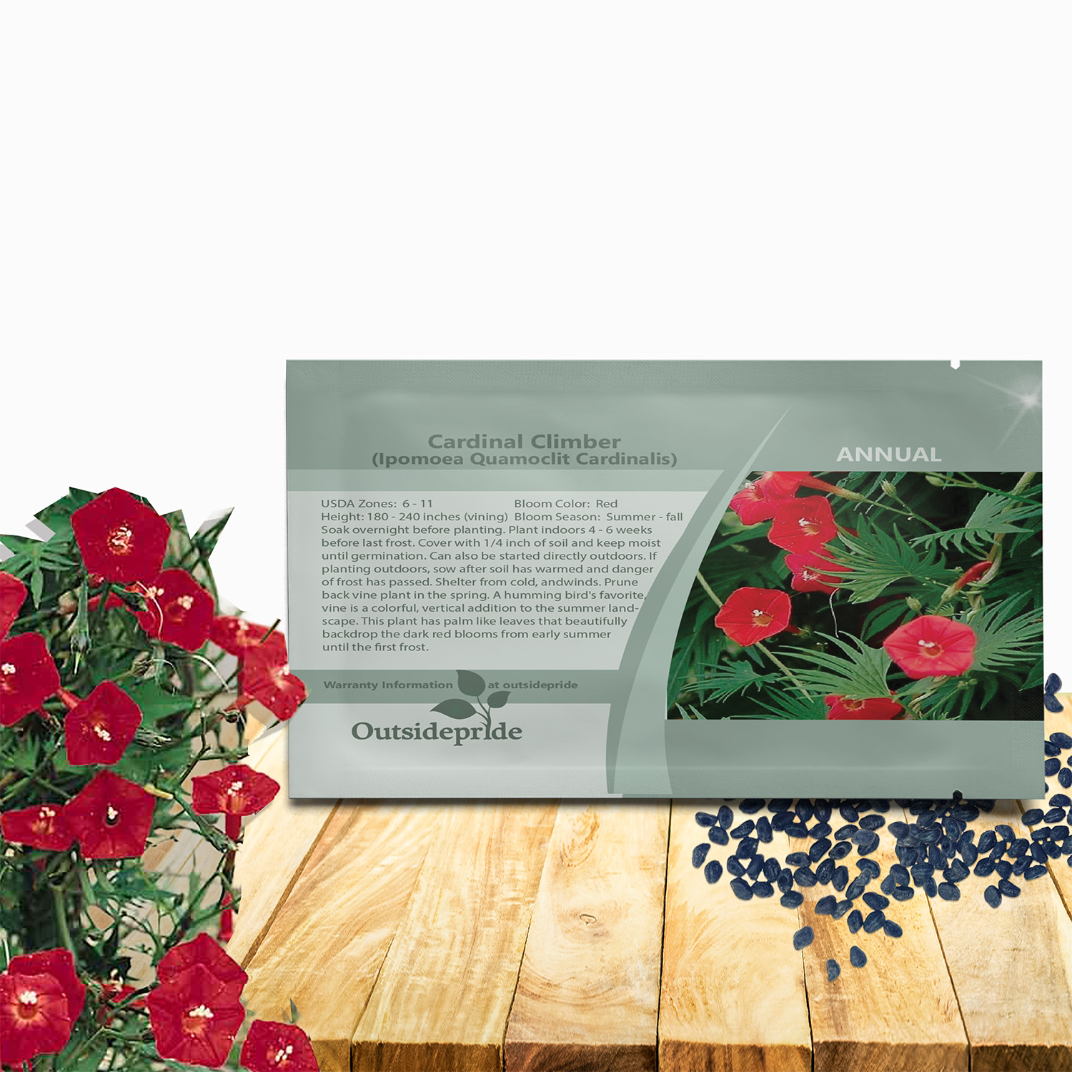 Cardinal Climber Flower Seed Packet For Planting