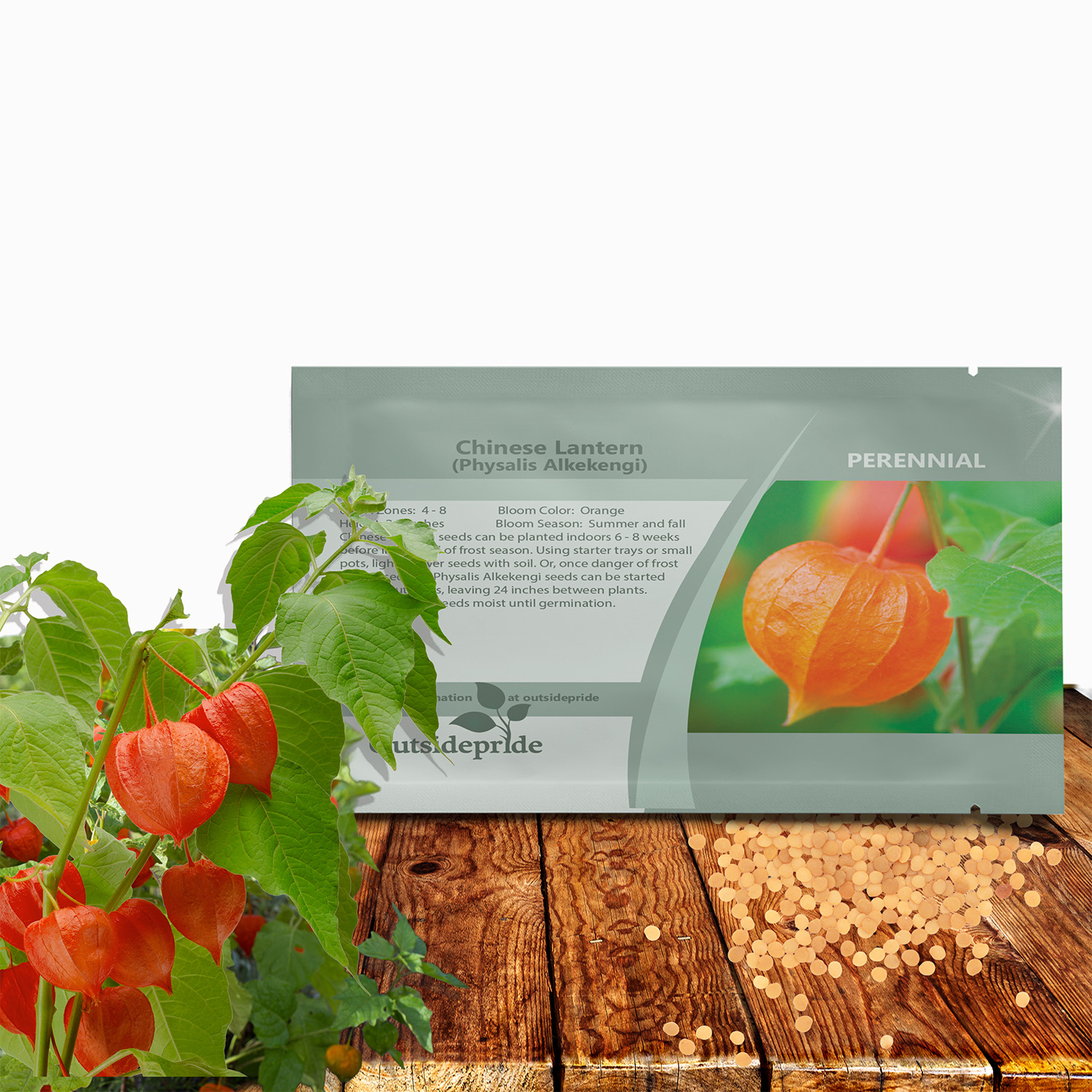 Chinese Lantern Flower Seed Packet