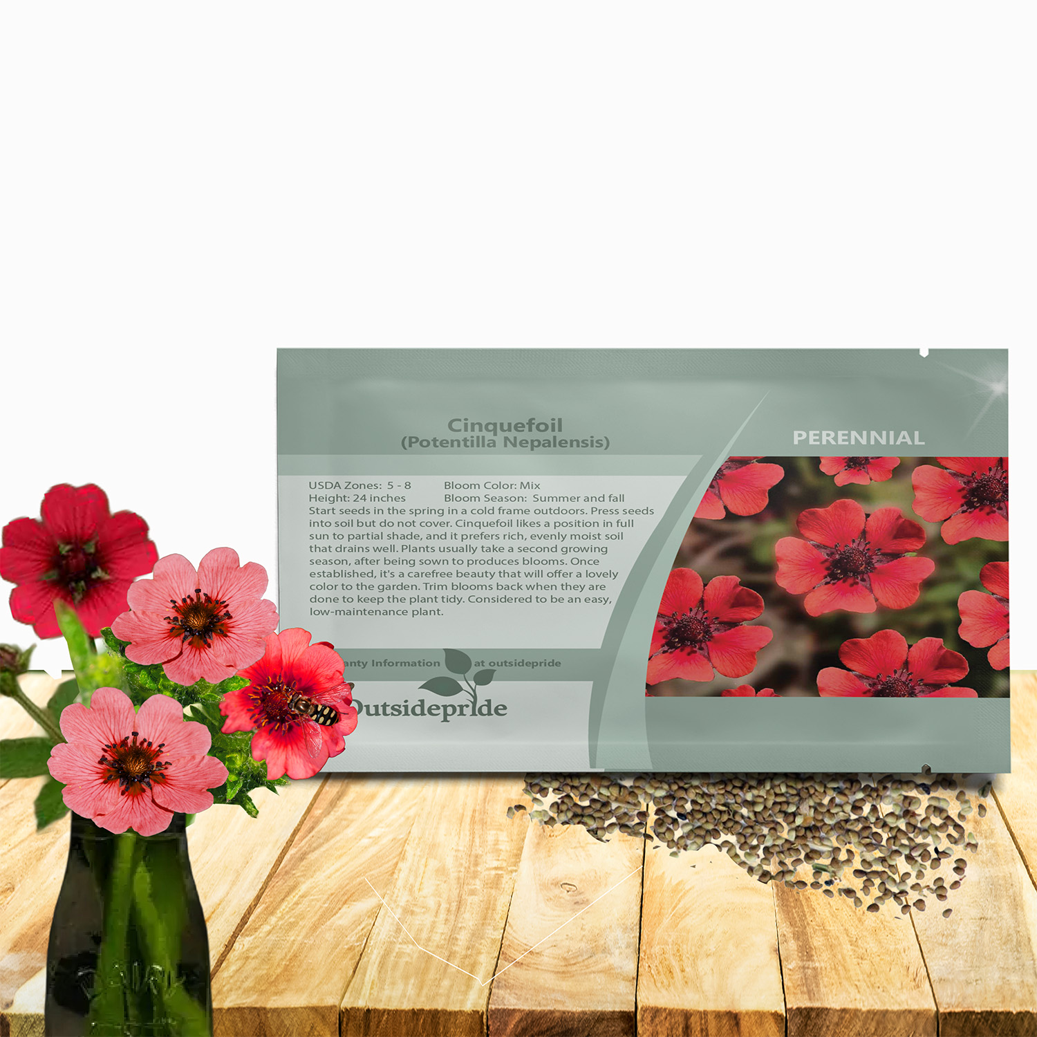 Cinquefoil Miss Willmott Seed Packet