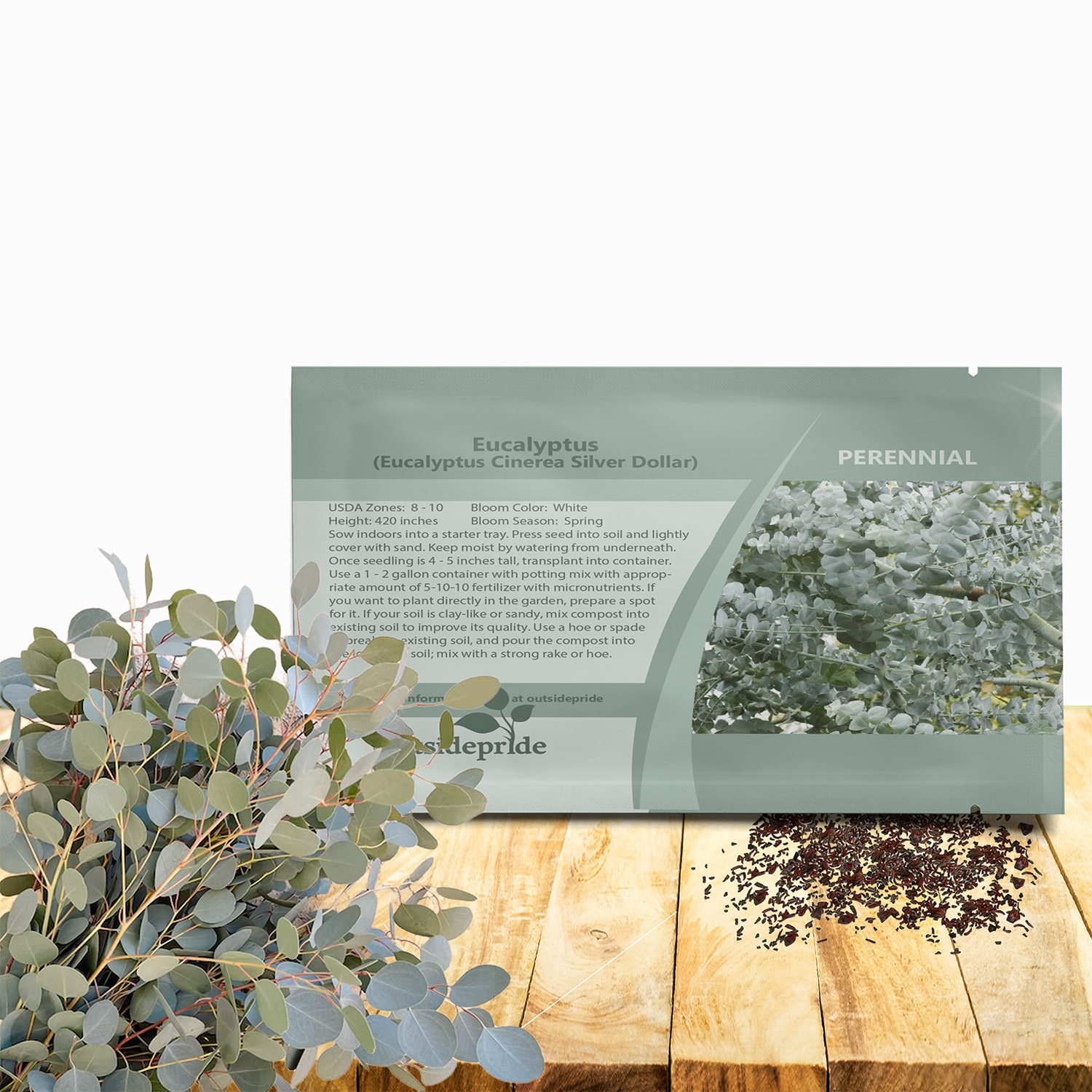 Eucalyptus Cinerea Silver Dollar Seed Packet