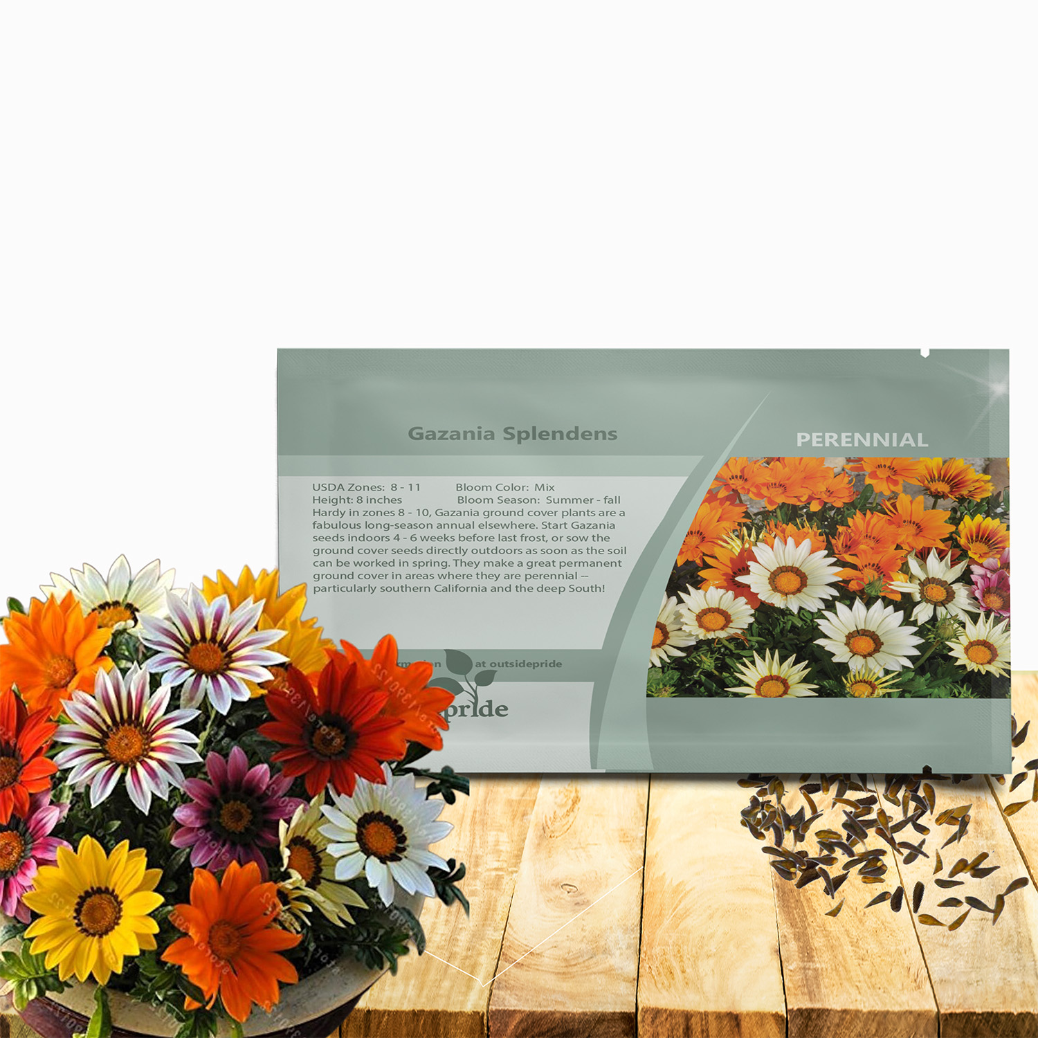 Gazania Splendens Ground Cover Seed Packet For Planting