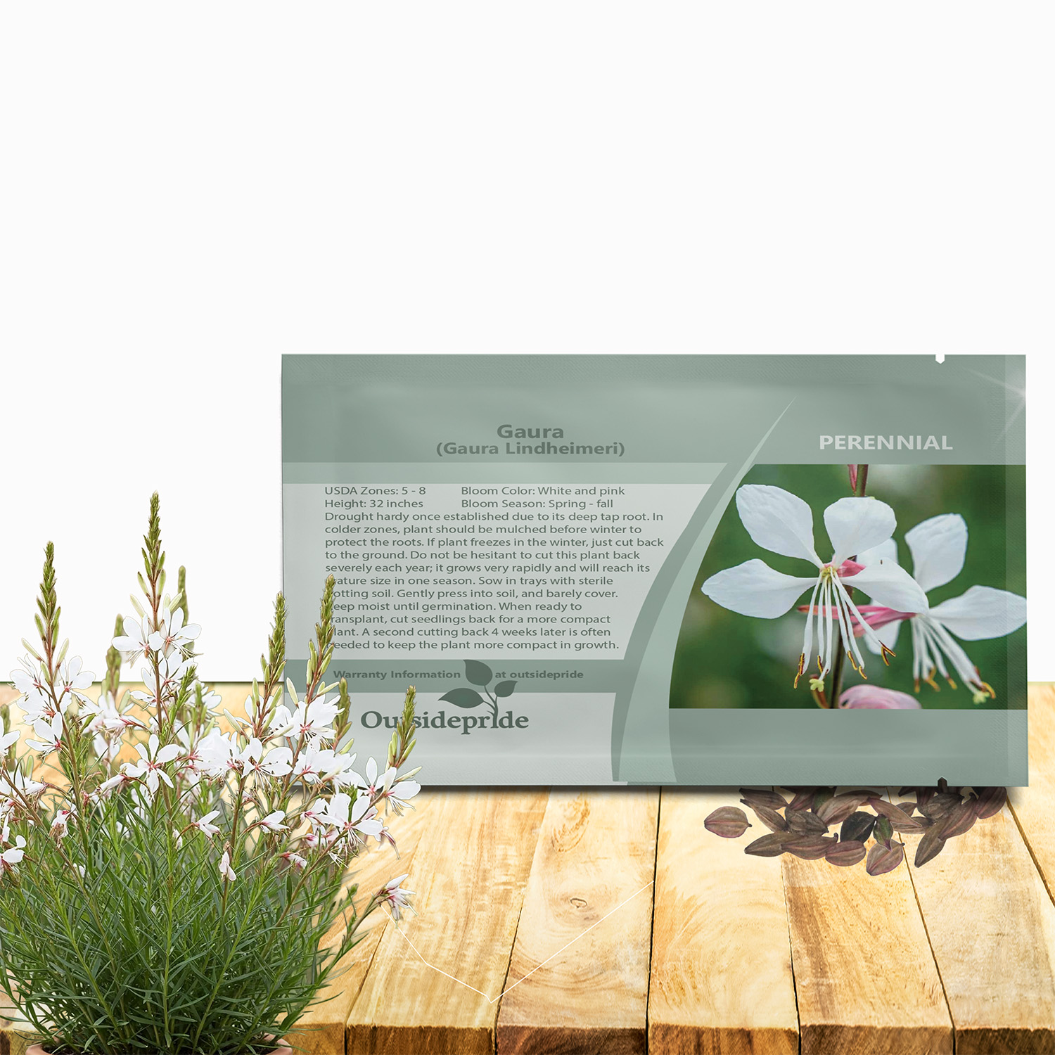 Gaura Flower Seed Packet For Planting
